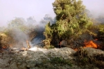 Quảng Bình lại xảy ra cháy rừng, 500 người nỗ lực vẫn chưa khống chế được lửa