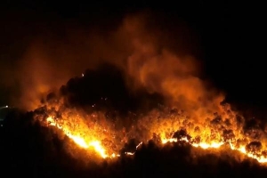 Lời khai của nghi phạm gây ra vụ cháy rừng nghiêm trọng ở Hà Tĩnh