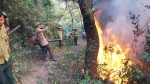 Người phụ nữ bị thiêu sống trong quá trình dập lửa cứu rừng