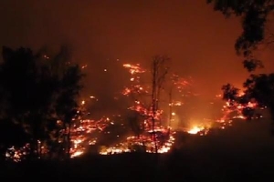 Hà Tĩnh: Bắt lửa từ 2 huyện kế bên, 10ha rừng ở Đức Thọ bị thiêu rụi