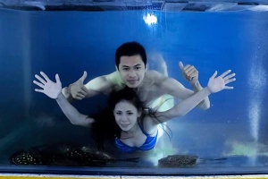 Hai vợ chồng suýt nhập viện vì bơi trong bể cá cảnh