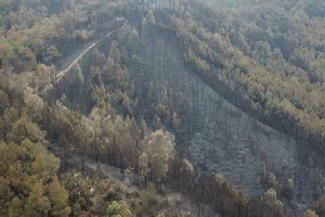Clip nhìn từ trên cao: Cánh rừng thông xám xịt ở Hà Tĩnh sau 4 ngày lửa bùng cháy kinh hoàng khiến nhiều người xót xa