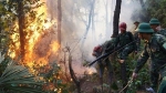 Người đốt rác gây cháy rừng ở Hà Tĩnh có thể bị 7-12 năm tù