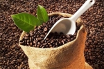 Thị trường giá nông sản hôm nay 6/7: Giá cà phê giảm, giá tiêu không đổi
