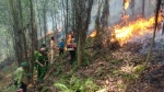 Đang cháy rừng đe dọa nhà dân ở Hà Tĩnh