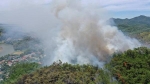 Hà Tĩnh: Cháy rừng thông tại huyện miền núi Hương Sơn, nhiều xã mất điện