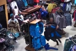 Vụ cướp quần áo như 'nhảy flashmob' tại cửa hàng ở Mỹ