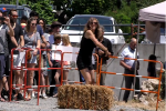 Cuộc thi ném phân bò khô để bảo vệ môi trường tại Pháp