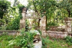 Tận thấy khu mộ cổ bị lãng quên của người giàu nhất Thủ Dầu Một xưa