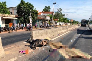 Ông bà tử vong, cháu gái thương nặng sau va chạm xe tải ở Bình Định