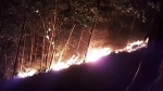 Quảng Nam: Hàng trăm người trắng đêm dập lửa, cứu rừng