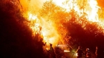 Lại cháy rừng dữ dội ở Hà Tĩnh do người dân đốt thực bì