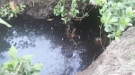 TP Cà Mau: Người dân bất an vì nguồn nước ô nhiễm rỉ từ Nhà máy xử lý rác