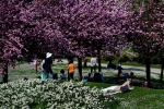 'Công viên khỏa thân' tại Paris báo động nạn du khách bị quấy rối
