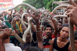 Video: Hãi hùng lễ rước hàng trăm con rắn của người Ấn Độ