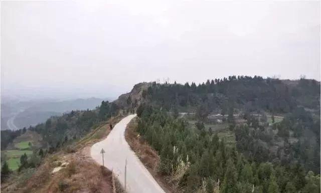 Con đường liên tỉnh trên đỉnh núi nơi phi tang chiếc vali. Ảnh: CCTV.