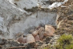 Chuyện ngược đời ở Quảng Nam: Dân mất lợn vì dịch tả châu Phi, phải nộp tiền cho xã tiêu hủy