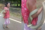 Rợn người cụ bà chơi đùa với rắn độc theo cách bất chấp nhất