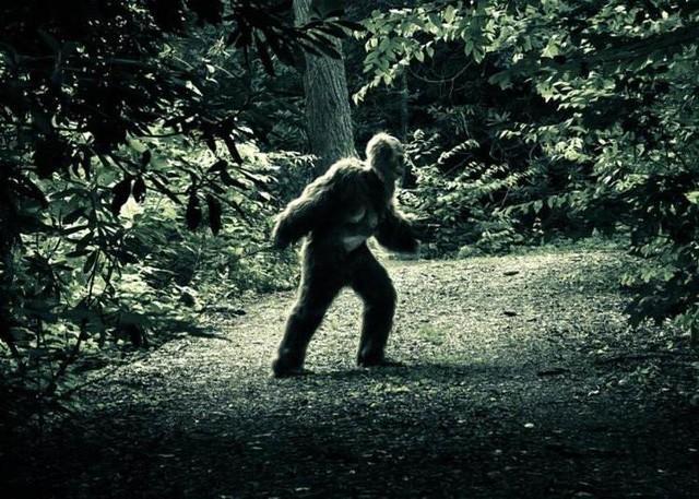 Bigfoot có tồn tại hay không?. Hình minh họa: NY Daily News.