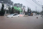Đà Lạt ngập nước, hàng chục ôtô chết máy giữa đường