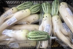 Trước nguy cơ bị vứt bỏ, loạt củ cải trắng xấu xí đã được nông dân Nhật Bản 'giải cứu' nhờ bao bì cực thú vị