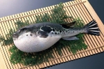 Mạo hiểm cả tính mạng để thử đặc sản Sashimi cá nóc tiền triệu ở Nhật Bản