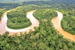 Điều gì xảy ra nếu rừng Amazon biến mất?