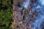 The New York Times: Phân tích ảnh vệ tinh đã chỉ ra chính xác thủ phạm gây cháy rừng thảm họa tại Amazon