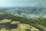 CNN cập nhật tình hình chữa cháy rừng Amazon: 'Phía dưới máy bay là nghĩa địa vì chúng tôi chỉ thấy cái chết'