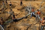 Bộ lạc quyết bảo vệ rừng Amazon đến 'giọt máu cuối cùng'