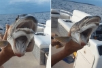Phát hiện con cá kỳ lạ có 2 miệng xuất hiện tại hồ được đồn có 'thủy quái Champ'