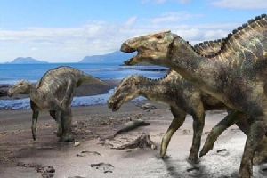 Phát hiện loài khủng long mỏ vịt mới