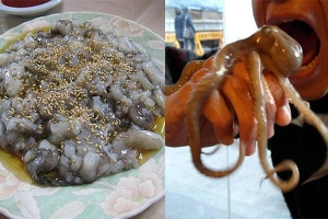 Cẩn thận mất mạng khi ăn thử đặc sản bạch tuộc sống từ Hàn Quốc