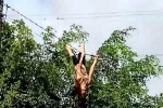 Đắk Lắk: Thót tim cảnh người phụ nữ leo cột điện, đu dây
