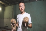 Chàng sinh viên Sài Gòn thu nhập 40 triệu đồng/tháng nhờ nuôi dúi bằng máy lạnh