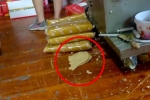 Hãi hùng cảnh tượng siêu bẩn trong xưởng làm bánh trung thu ở Trung Quốc