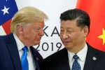 'Mỹ - Trung chia đôi thế giới là một nguy cơ có thật'