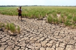Biến đổi khí hậu khiến người dân hạ lưu sông Mekong khốn khổ