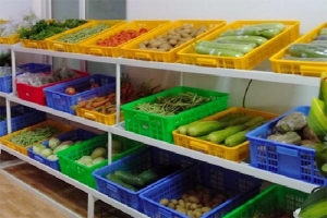 Cạnh tranh giành suất cung cấp thực phẩm cho trường học