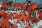 Đột nhập 'địa ngục' nhốt hàng nghìn tù binh IS tại Syria