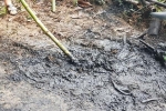 Tổng cục Môi trường: Nguồn nước sạch Hà Nội bị ô nhiễm dầu thải