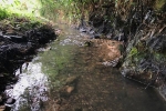 Cận cảnh dầu thải tại suối đầu nguồn cung cấp nước cho Nhà máy nước sông Đà
