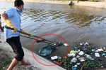 Kinh hoàng xác heo vứt nổi mặt kênh giữa tâm bão dịch tả heo châu Phi hoành hành tại Ninh Thuận