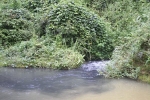 Công ty nước sạch sông Đà lên tiếng về việc nước sinh hoạt có mùi lạ