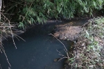 Thủ tướng giao Bộ Công an điều tra vụ cấp nước ô nhiễm cho dân Hà Nội