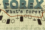 Forex là gì? Những thông tin cơ bản về thị trường Forex