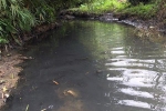 Truy tìm thủ phạm đổ trộm dầu thải gây ra sự cố nước sạch sông Đà