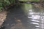 Vụ nước sạch Sông Đà nhiễm bẩn: Sinh mạng của người dân, trách nhiệm của ai?