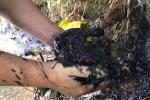 Hai nghi phạm đổ dầu thải ra nguồn nước sông Đà bị bắt