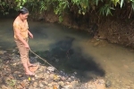 Quá trình đổ dầu thải gây ô nhiễm nước sông Đà diễn ra thế nào?
